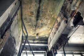 Mold Removal for HVAC Installations in Lovejoy, GA